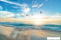 Картина Stamprint Безмятежность SD027 (80x120)