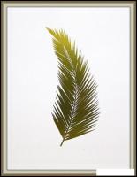 Картина Декарт 8Л2478