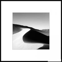 Картина Stamprint Природа 3 BW003 (50x50)