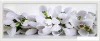 Картина Декарт Белые цветы крокусы 8Л0554