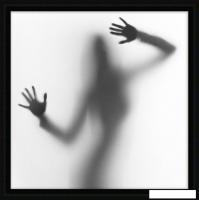 Картина Декарт 8Л1774