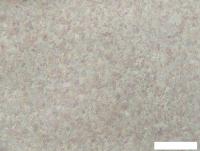 Elysium Марс E300302