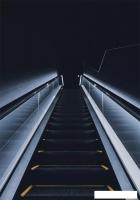 Картина Stamprint Вверх ST041 (100x70)