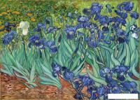Картина Stamprint Ирисы В. ван Гог PT007 (50x70)