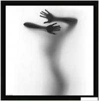 Картина Декарт 8Л1773