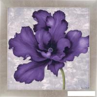 Картина Декарт 8Л2116