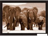 Картина Декарт 8Л2664