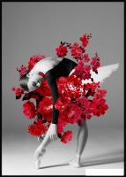 Картина Orlix Балерина в красных цветах OB-14246