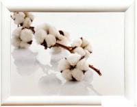 Картина Декарт 8Л3044