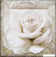 Картина Декарт 8Л1742