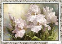 Картина Декарт Белые цветы ирисы 8Л0512 (в раме)