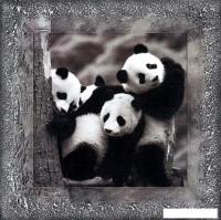 Картина Декарт 8Л0204