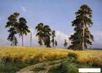 Картина Stamprint Рожь И.И. Шишкин PT024 (50x70)