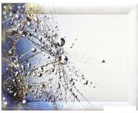 Картина Декарт 8Л3028