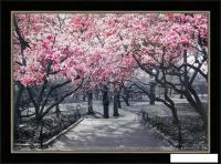 Картина Декарт 8Л2440