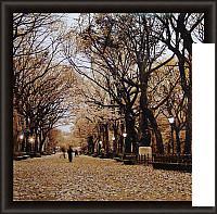 Картина Декарт 8Л0321