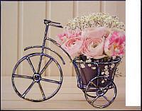 Картина Декарт 8Л1248