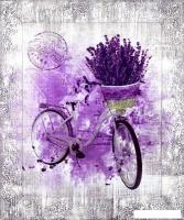 Картина Декарт 8Л3809