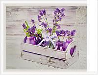 Картина Декарт Прованс Лаванда 8Л0352