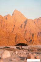 Картина Stamprint В пустыне NT031 (120x80)