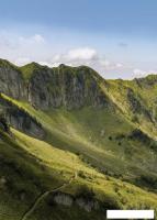 Картина Stamprint Свежесть NT035 (70x50)