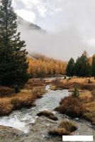 Картина Stamprint Каменистый ручей NT027 (120x80)