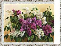 Картина Декарт 8Л0210