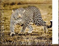 Картина Декарт 8Л0469