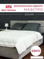 Одеяло Mio Tesoro Маэстро 220х200