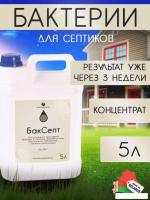 Жидкость для септиков и выгребных ям Микропрепараты БакСепт 5л