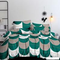 Постельное белье Alleri Эко Сатин 2сп СС-502