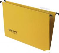 Набор папок BRAUBERG 231794 (10 шт)