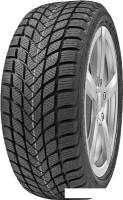 Зимние шины Delinte Winter WD6 155/65R13 73T