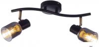 Припотолочная люстра Aitin Pro НПБ 02-2x60-102 51976/2 (бронза/черный)