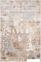 Ковер для жилой комнаты Radjab Carpet Бьянка Прямоугольник D056A 7667RK-B (1.6x3, Cream Shirink/Vizo