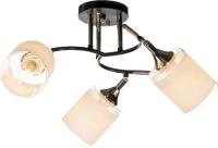 Спот Aitin Pro НПБ 02-3x60-101 N6089/3 (кофе/золото)