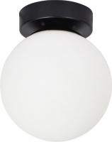 Светильник Arte Lamp Alcor A2224PL-1BK