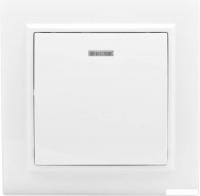 Выключатель EKF Basic Минск ERV10-121-10