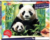 Картина по номерам MultiArt CANV40X50-115972