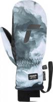 Горнолыжные варежки Reusch Carter R-Tex XT Mitten 6302530-7019 (р-р 6.5, Smoke)