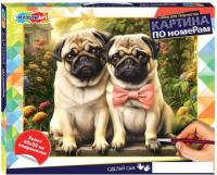 Картина по номерам MultiArt CANV40X50-115977