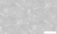 Виниловые обои Erismann 60765-05