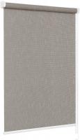 Рулонные шторы Delfa Сантайм Премиум Гала СРШ-01МП 3475 (68x170, серый)