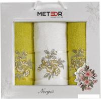 Набор полотенец Meteor Nergis 11257 (3 шт, в коробке, светло-зеленый)