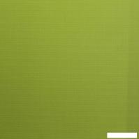 Рулонные шторы Lm Decor Лайт LM 30-04E 120x170