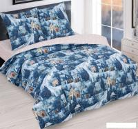 Постельное белье АртПостель Метелица 904