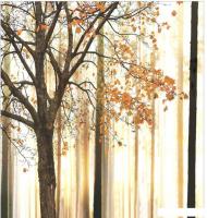 Набор текстиля для спальни JoyArty Пастельная осень bcsl_1176 (220x235)