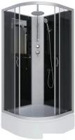 Душевая кабина Niagara NG-3502-14BKT 100x100x210 (тонированное стекло)