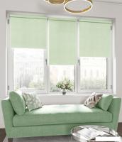 Рулонные шторы Legrand Бриз 80.5x175 (салатовый)