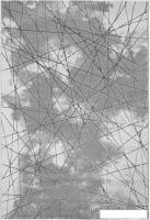 Ковер для жилой комнаты Bossan Rome 5720A-GRI-AGRI (0.8x1.5)